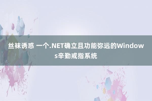 丝袜诱惑 一个.NET确立且功能弥远的Windows辛勤戒指系统