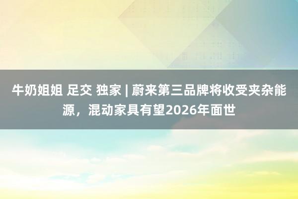 牛奶姐姐 足交 独家 | 蔚来第三品牌将收受夹杂能源，混动家具有望2026年面世