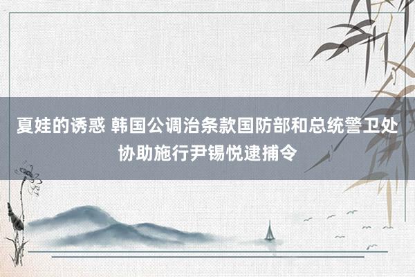 夏娃的诱惑 韩国公调治条款国防部和总统警卫处协助施行尹锡悦逮捕令